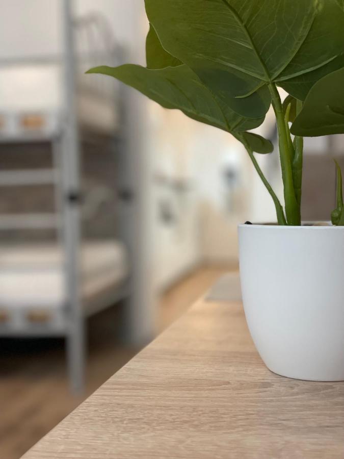 Flatprovider Hp Apartamento *